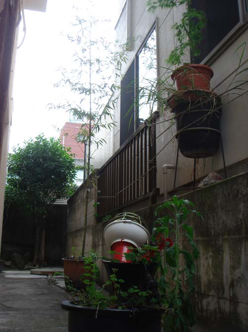 f0208737_8323232.jpg