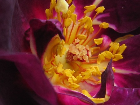 c0025140_20142386.jpg