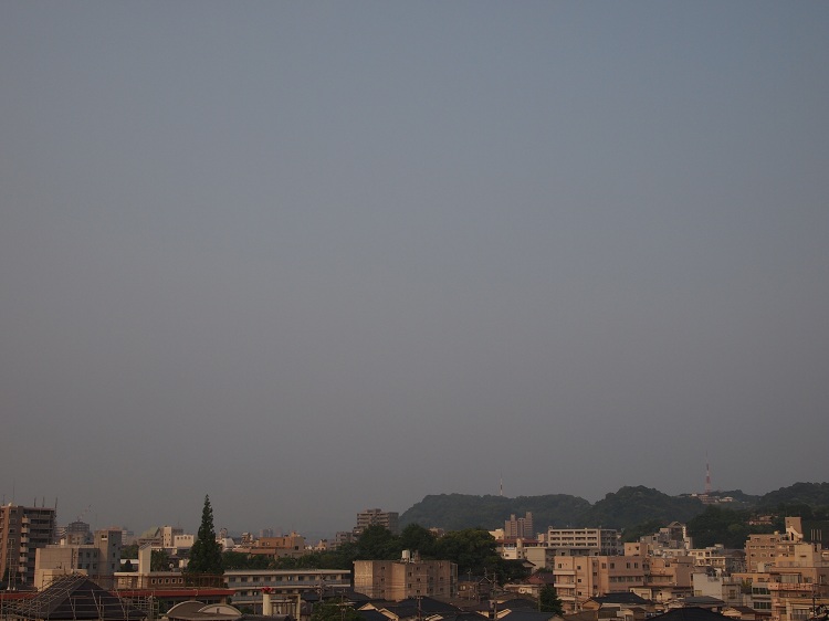a0146442_7334092.jpg