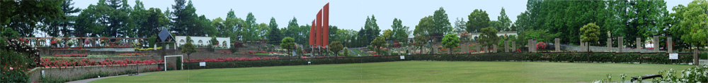 c0106443_18312781.jpg