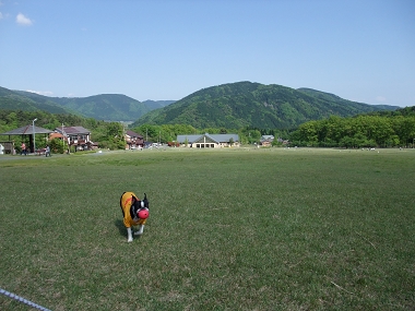e0126046_21251668.jpg
