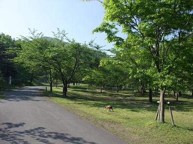 e0126046_2242639.jpg