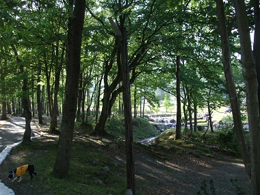 e0126046_2273714.jpg