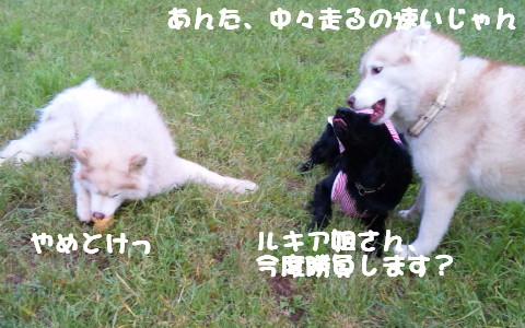 e0121548_2014429.jpg