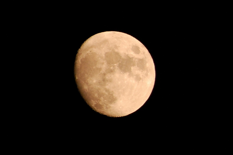 a0138449_22104241.jpg