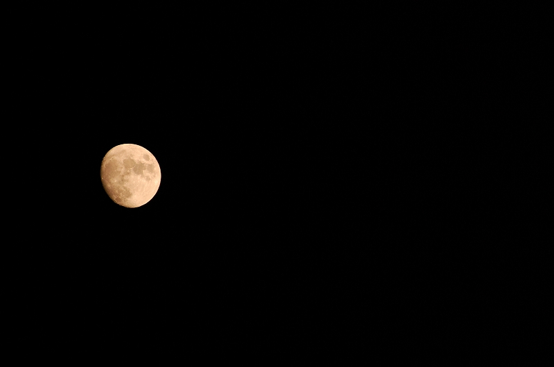a0138449_2251498.jpg