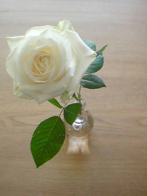 a0140151_1445837.jpg