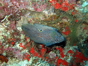 f0176156_143138.jpg