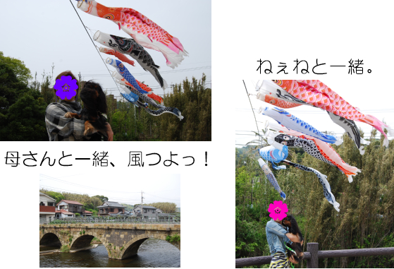 a0101958_1650171.jpg