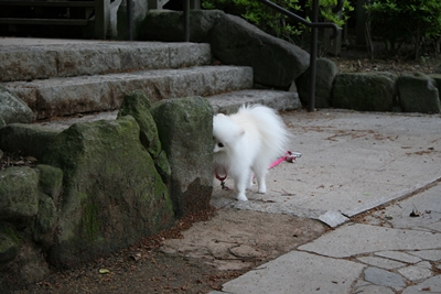 d0054461_21245929.jpg