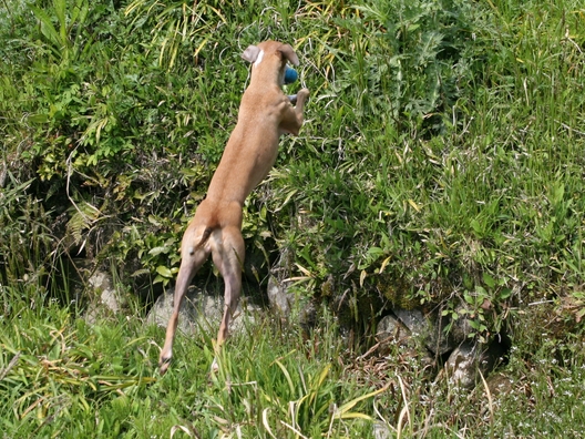 f0158862_2052785.jpg
