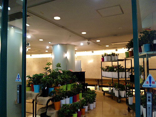 b0101263_1519643.jpg