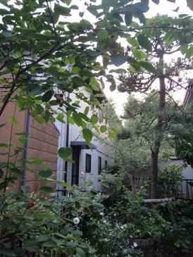 f0195963_21405776.jpg