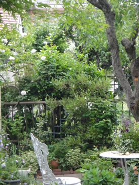 f0195963_21424393.jpg