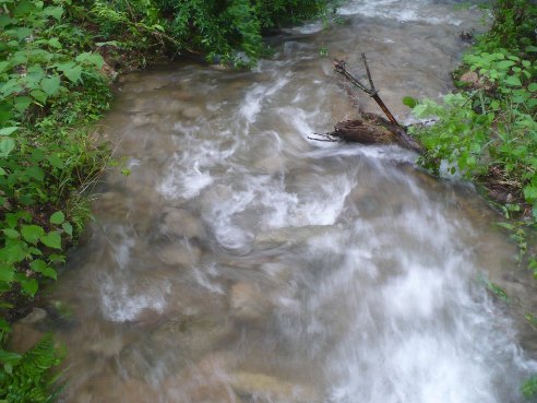 a0063364_075440.jpg