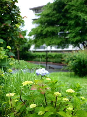 b0180764_0272498.jpg