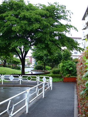 b0180764_028283.jpg