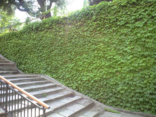 c0194767_1225789.jpg