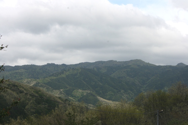 f0088569_9101666.jpg