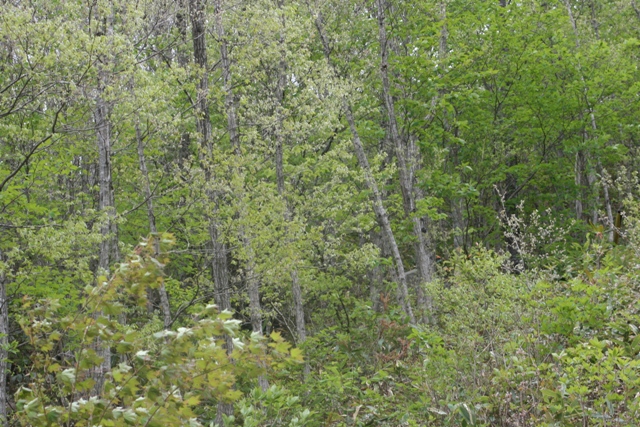 f0088569_918480.jpg