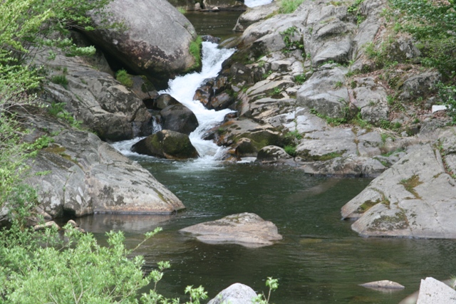 f0088569_9334283.jpg