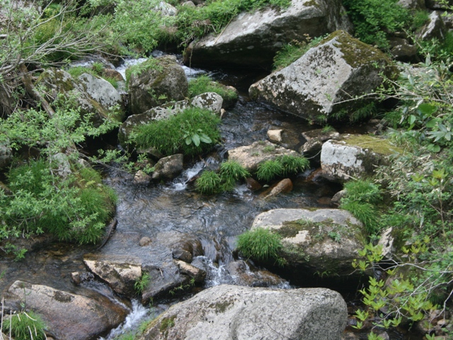 f0088569_933469.jpg