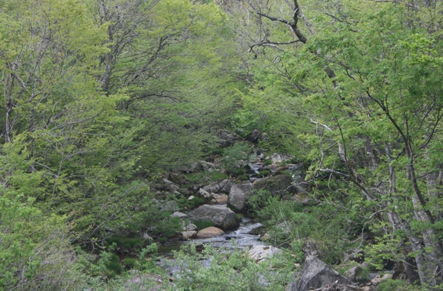 f0088569_937225.jpg