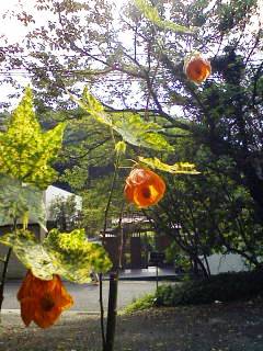 a0151071_932712.jpg