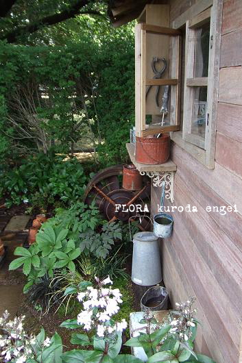 c0161571_15381766.jpg