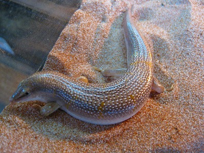 e0099576_2255390.jpg