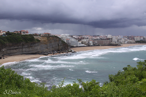 b0139477_129510.jpg