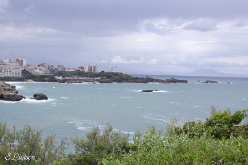 b0139477_1332674.jpg
