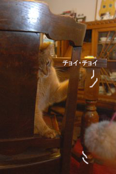b0177078_940024.jpg