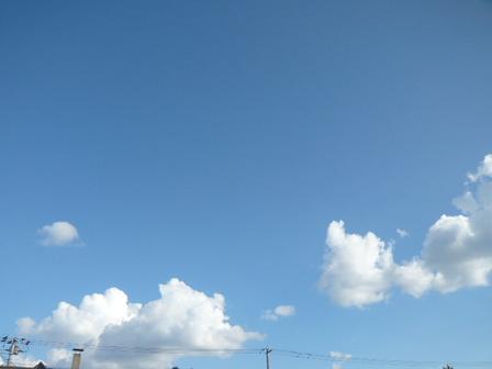 c0175679_12243473.jpg