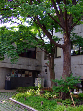 a0105480_1835782.jpg
