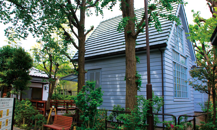 c0009981_530032.jpg