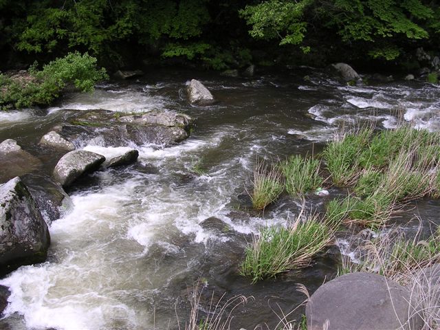 d0164783_20353148.jpg