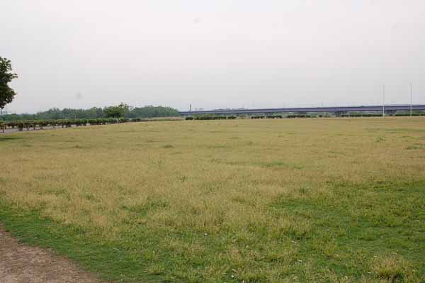 d0101385_8223816.jpg