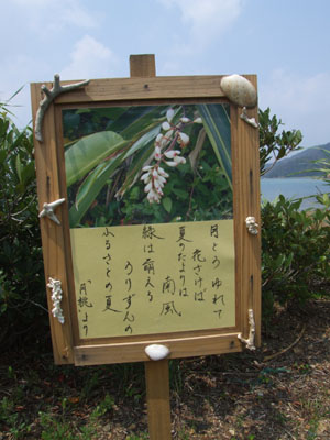 e0028387_23242879.jpg