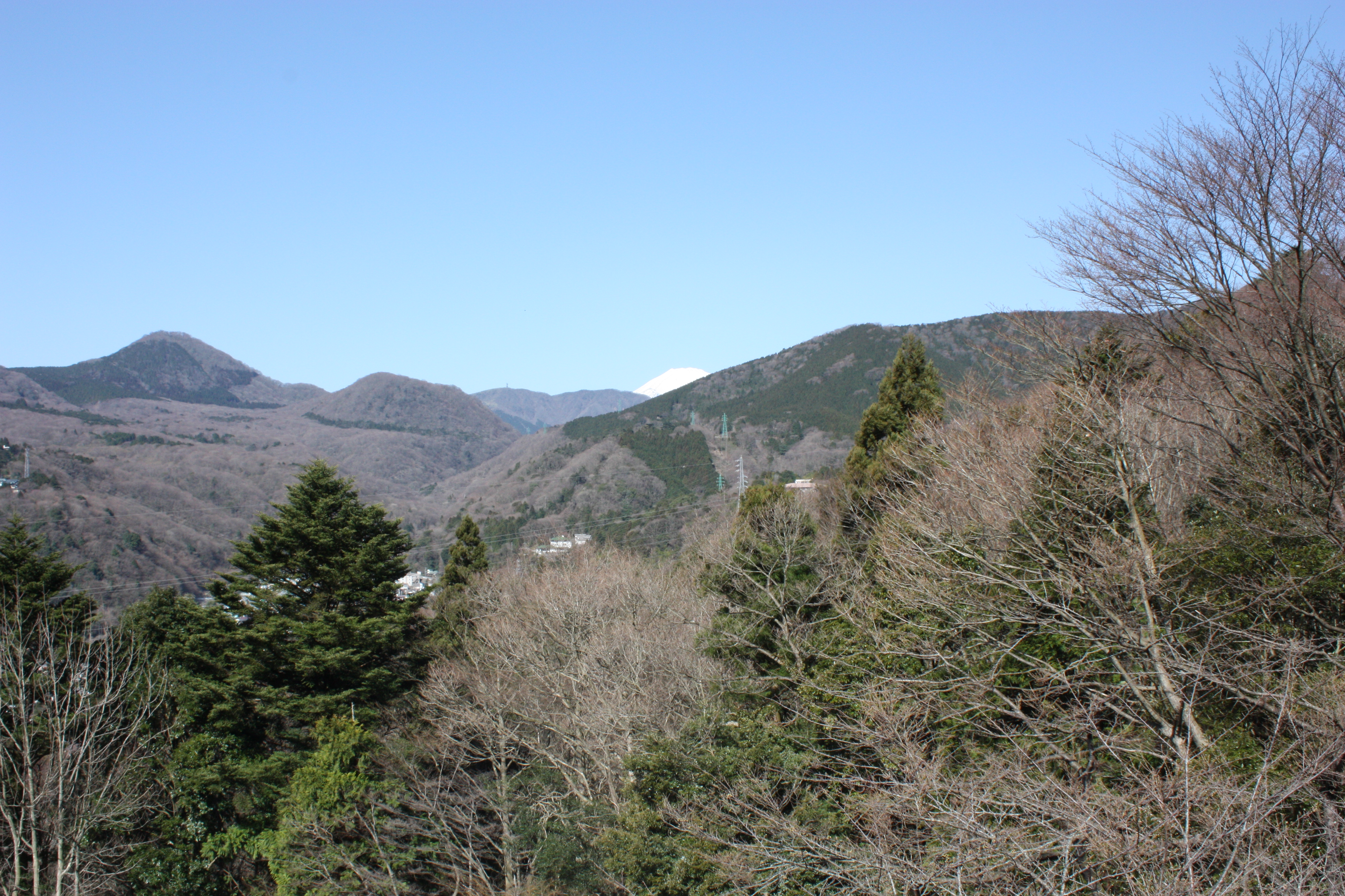 c0160089_19363532.jpg