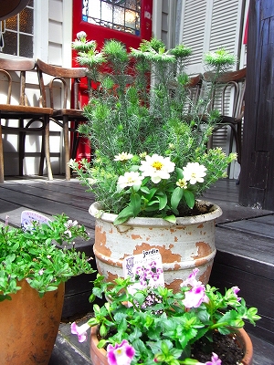 c0207890_215384.jpg