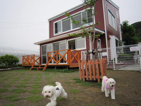 b0104592_21461393.jpg