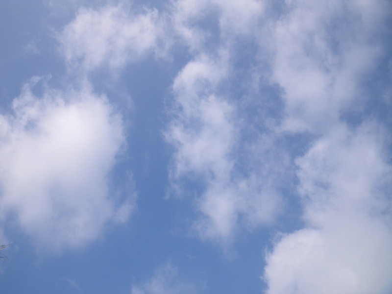 c0193396_16331282.jpg