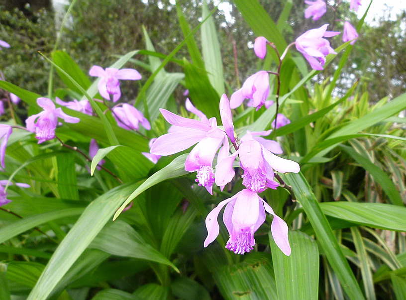 c0138198_1449585.jpg