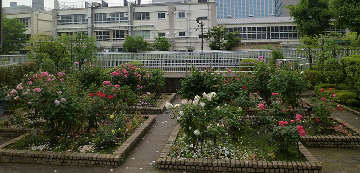 c0138198_1455943.jpg