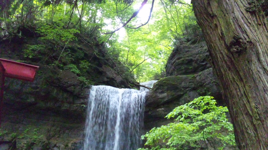 c0060308_1052246.jpg