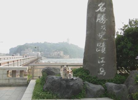 e0078510_21424100.jpg