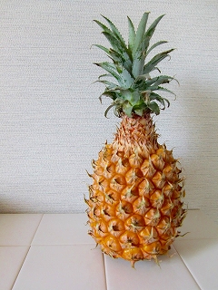 b0073616_13372677.jpg