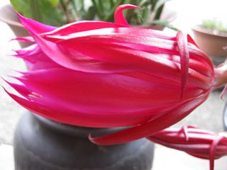 c0226317_20254587.jpg