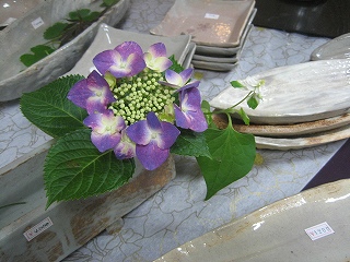 f0139520_2033297.jpg